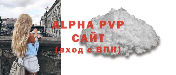 индика Пересвет