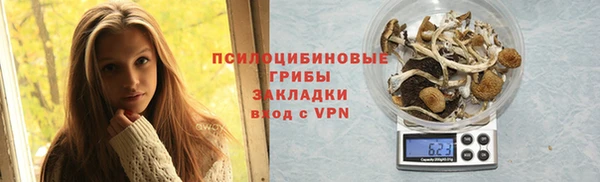прущая мука Абаза