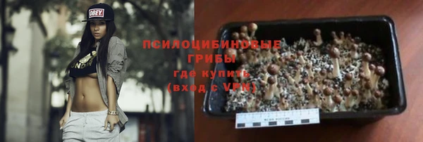 ПСИЛОЦИБИНОВЫЕ ГРИБЫ Осинники