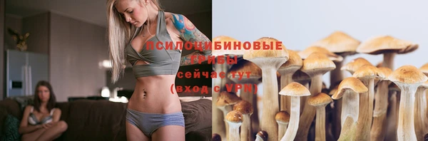 PSILOCYBIN Абинск