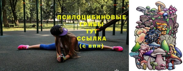 шишки Абдулино