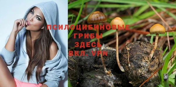 а пвп мука Пестово