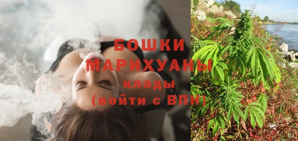 ПСИЛОЦИБИНОВЫЕ ГРИБЫ Осинники