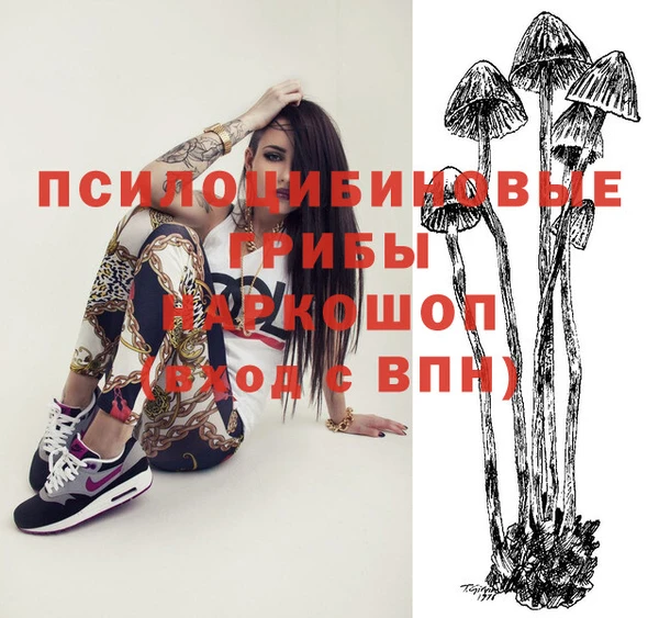 прущая мука Абаза